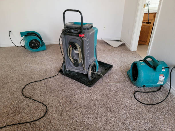  East Wenatchee, WA Water damage restoration Pros