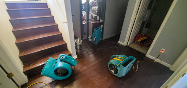 Best Carpet water damage restoration  in East Wenatchee, WA