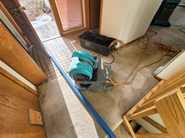 Best 24-hour water damage restoration  in East Wenatchee, WA