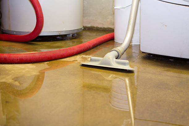 Best Water damage restoration specialists  in East Wenatchee, WA