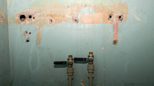 Best Flood restoration services  in East Wenatchee, WA